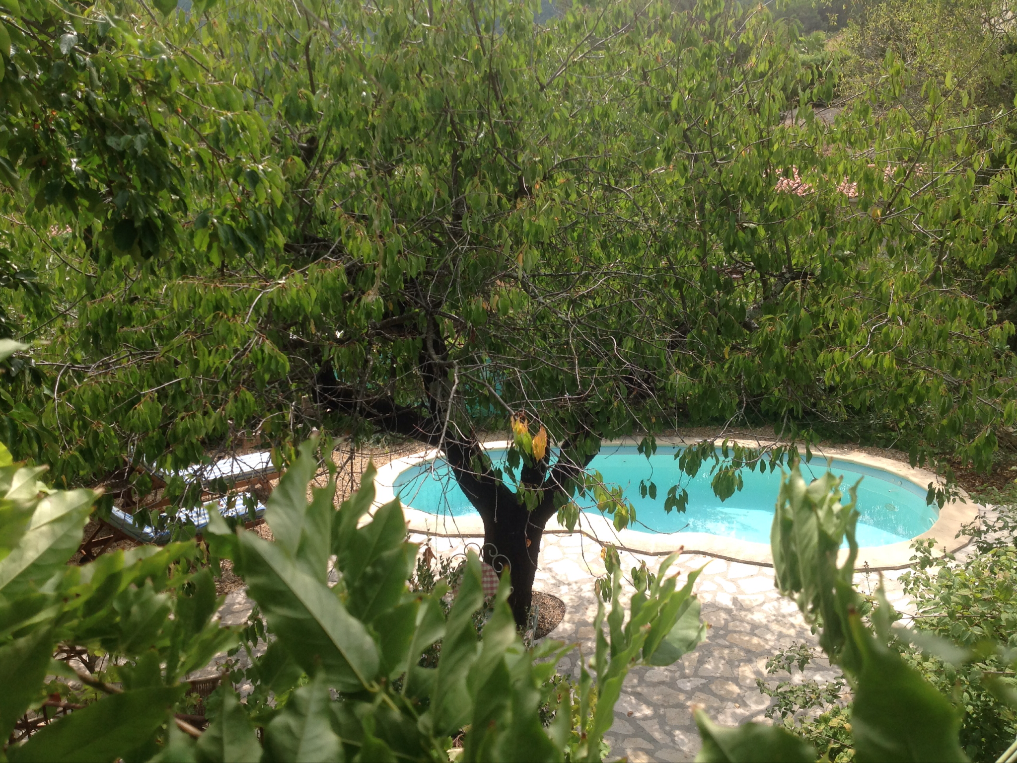 piscine vue de la terrasse du 1er étage